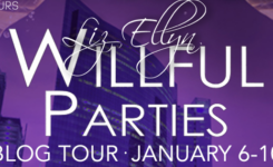 10 things you wish every aspiring writer would know by Liz Ellyn author of Willful Parties